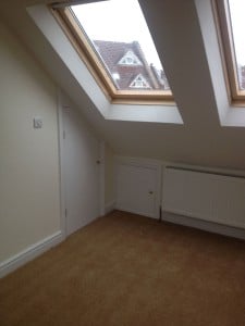 velux windows provide natural light
